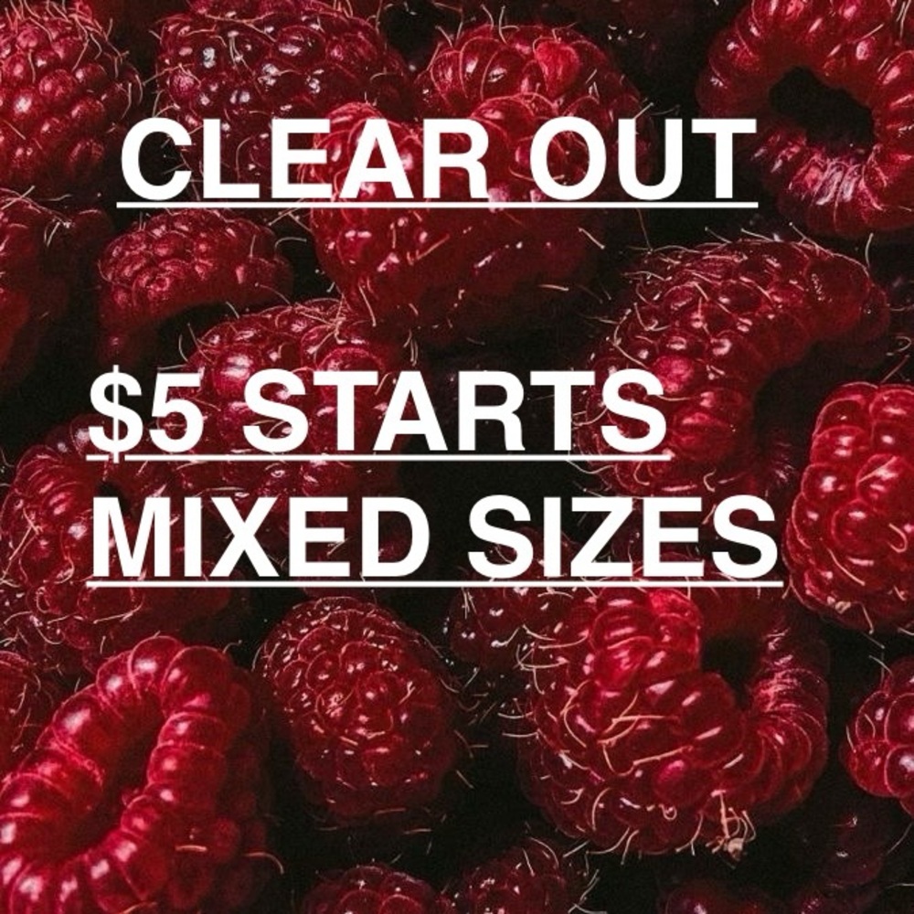 Closet clear out deals